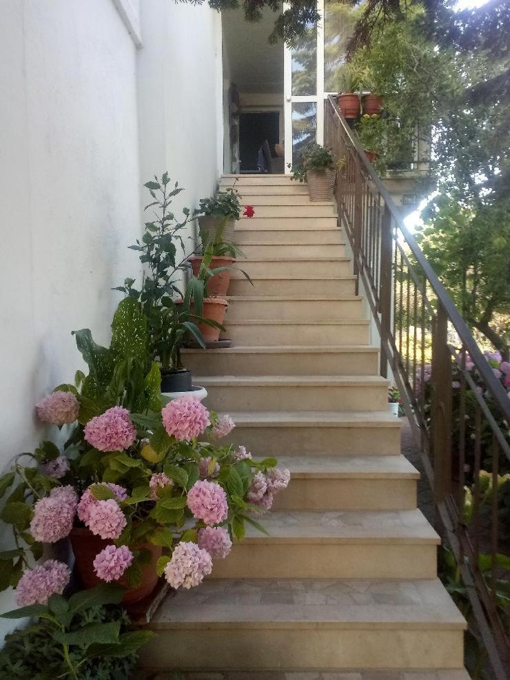 Apartment Lavander Sukošan Kültér fotó